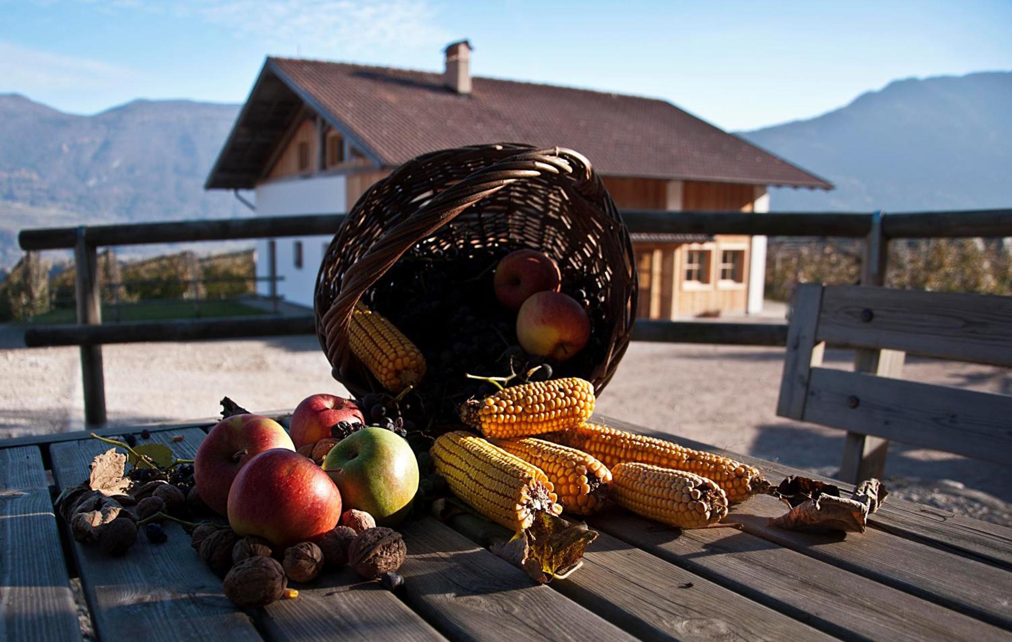 Agritur Maso Pra' Cavai B&B Balbido-rango Bagian luar foto