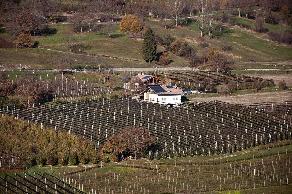 Agritur Maso Pra' Cavai B&B Balbido-rango Bagian luar foto